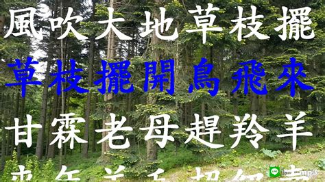 風吹草枝擺|風吹草動 [正文]